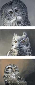Owl Triptych by David N Kitler Pricing Limited Edition Print image