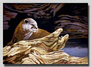 River Otter Study by Patti Wilson Pricing Limited Edition Print image