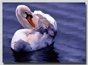 Preening by Patti Wilson Pricing Limited Edition Print image