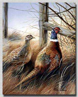 Pheasant Pair by Patti Wilson Pricing Limited Edition Print image