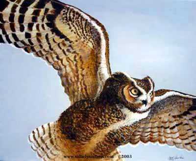 Silent Hunter Owl by Sallie Lynn Davis Pricing Limited Edition Print image