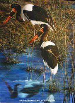 Wetland Waders by Sallie Lynn Davis Pricing Limited Edition Print image
