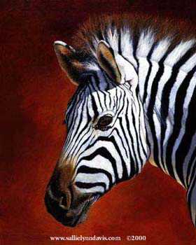 Damara Zebra by Sallie Lynn Davis Pricing Limited Edition Print image