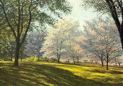 Orchard by Carl Hoffner Pricing Limited Edition Print image
