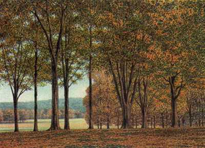 Though The Trees by Carl Hoffner Pricing Limited Edition Print image