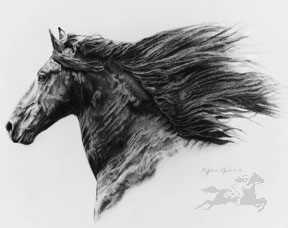Friesian by Sheri Greves-Neilson Pricing Limited Edition Print image