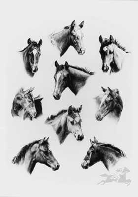 Young Quarters by Sheri Greves-Neilson Pricing Limited Edition Print image
