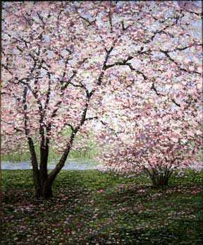Lakeside Magnol by Patrick Antonelle Pricing Limited Edition Print image
