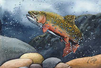 Brook Trout by Kevin E Pack Pricing Limited Edition Print image
