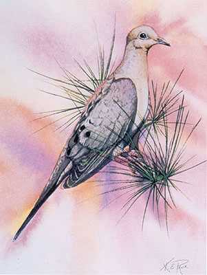 Morning Dove by Kevin E Pack Pricing Limited Edition Print image