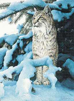 Winter Watch Bobcat by Ron Van Gilder Pricing Limited Edition Print image