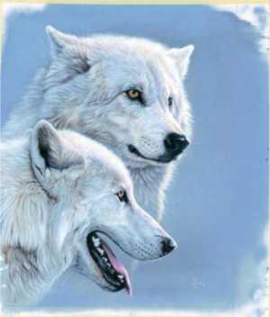 Arctic Wolves by Al Agnew Pricing Limited Edition Print image