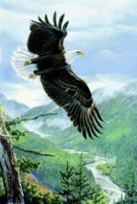 Soaring Spirit by Al Agnew Pricing Limited Edition Print image