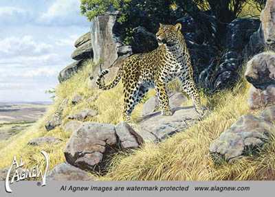 King Of The Hill by Al Agnew Pricing Limited Edition Print image