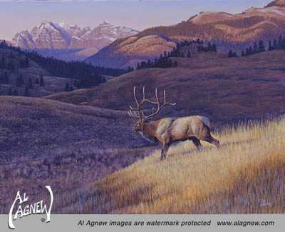 High Lonesome by Al Agnew Pricing Limited Edition Print image
