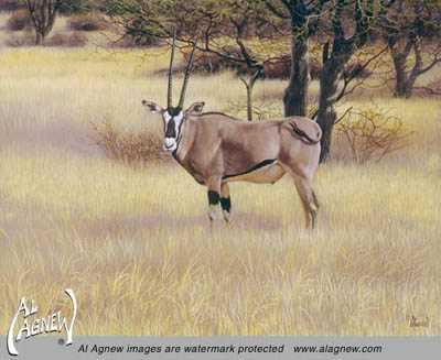 Oryx by Al Agnew Pricing Limited Edition Print image
