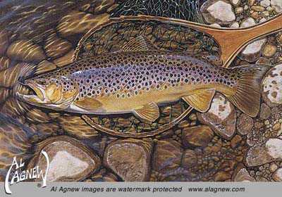 Brown Trout & Net by Al Agnew Pricing Limited Edition Print image