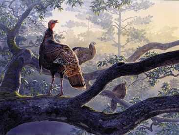 Out On A Limb by Al Agnew Pricing Limited Edition Print image