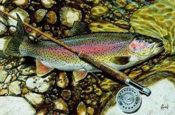 Rainbow Trout by Al Agnew Pricing Limited Edition Print image