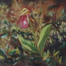 Pink Ladys Slipper by Stephen Henning Pricing Limited Edition Print image