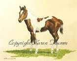 Pretty Filly by Karen L Thumm Pricing Limited Edition Print image