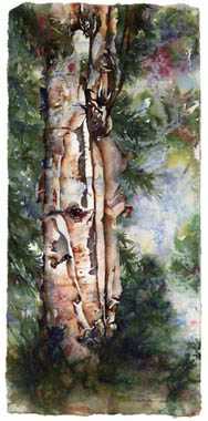 Woodland Birch by Patricia Post Pricing Limited Edition Print image