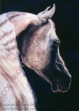 Moon Mist by Karen Smith Pricing Limited Edition Print image