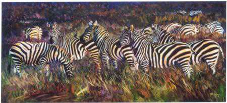 Green Grass Zebra by Terry Lee Pricing Limited Edition Print image