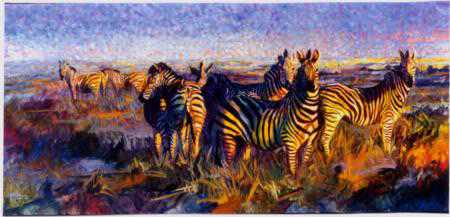 Plains Zebra by Terry Lee Pricing Limited Edition Print image