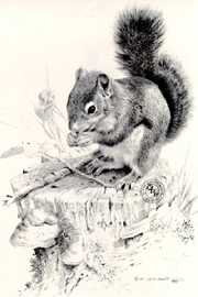 Squirrels Dish by Carl Brenders Pricing Limited Edition Print image