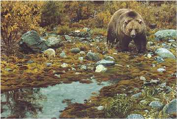 Trailblazer Grizzly by Carl Brenders Pricing Limited Edition Print image