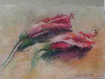 Hibiscus by Sharon Wilson Pricing Limited Edition Print image