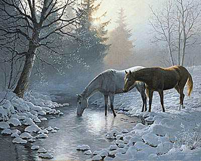 Frosty Morning by Persis Clayton Weirs Pricing Limited Edition Print image