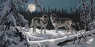 Moonrise Wolves by Persis Clayton Weirs Pricing Limited Edition Print image