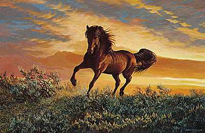 Fire In The Sky by Persis Clayton Weirs Pricing Limited Edition Print image