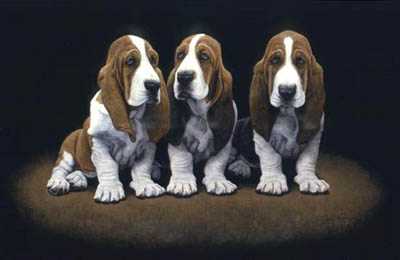 Bassett Hound Pups by John Weiss Pricing Limited Edition Print image