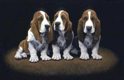 Bassett Hound Pups by John Weiss Pricing Limited Edition Print image