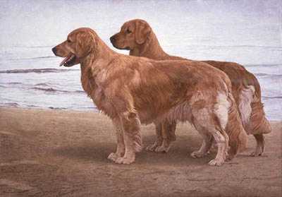 Goldens Shore by John Weiss Pricing Limited Edition Print image