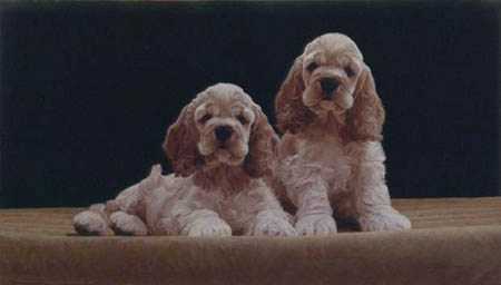 Cocker Spaniel Pups by John Weiss Pricing Limited Edition Print image