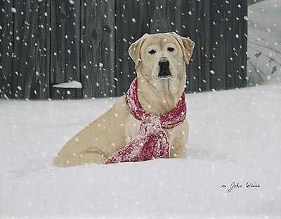 Cold Nose Warm Heart by John Weiss Pricing Limited Edition Print image