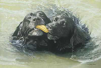 Retrievers by John Weiss Pricing Limited Edition Print image