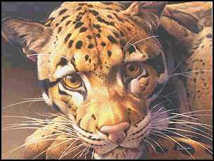 A Leopard Gaze At by Linda Rossin Pricing Limited Edition Print image
