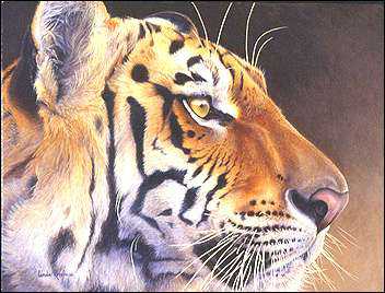 A Tiger Touch by Linda Rossin Pricing Limited Edition Print image