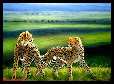 Rebuffed by Diane Querry Pricing Limited Edition Print image