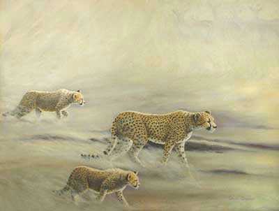 Stalking Lessons by Diane Querry Pricing Limited Edition Print image