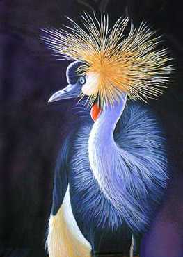 Royal Glance Crane by Diane Querry Pricing Limited Edition Print image