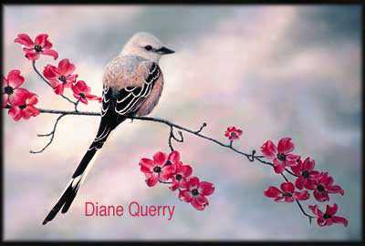 Scissortail by Diane Querry Pricing Limited Edition Print image