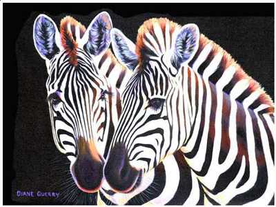 Suitor Zebras by Diane Querry Pricing Limited Edition Print image