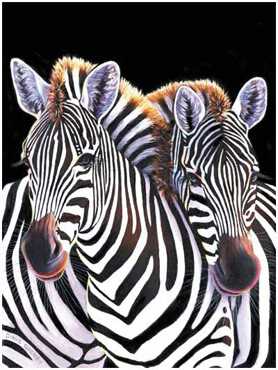 Back Rub Zebras by Diane Querry Pricing Limited Edition Print image