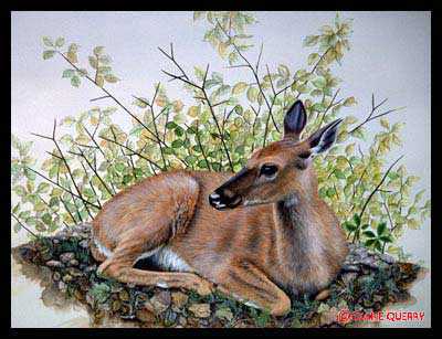Resting by Diane Querry Pricing Limited Edition Print image